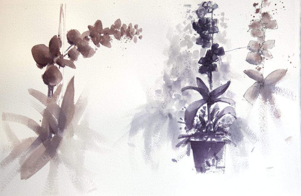 Orchidea, aquarela pintada com vinho por Antonio Giacomin