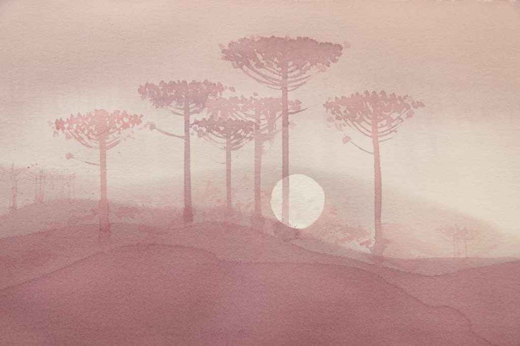 Araucárias, aquarela pintada com vinho por Antonio Giacomin