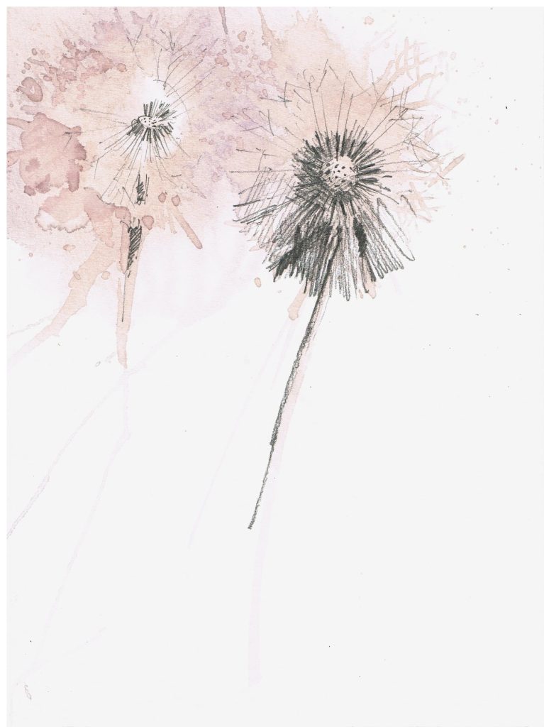 Soffione, aquarela pintada com vinho por Antonio Giacomin